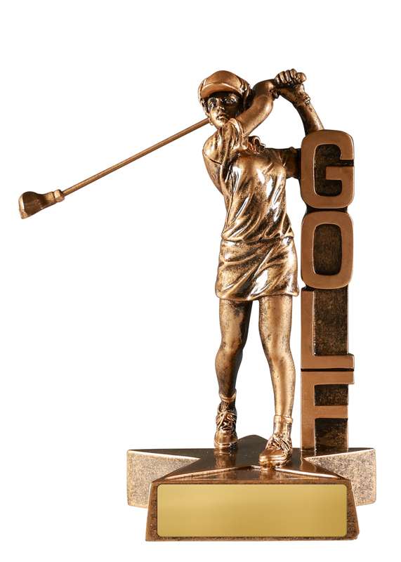 trophy display cases – award and trophy storage display