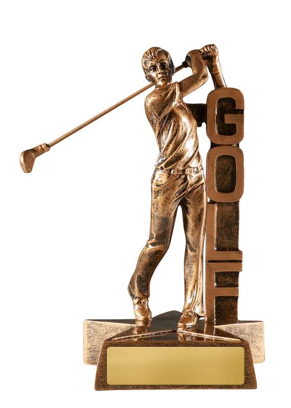 perspex display cases Australia – acrylic trophy display cabinets